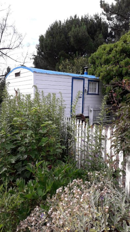 Western House B&B Kurow Exterior photo